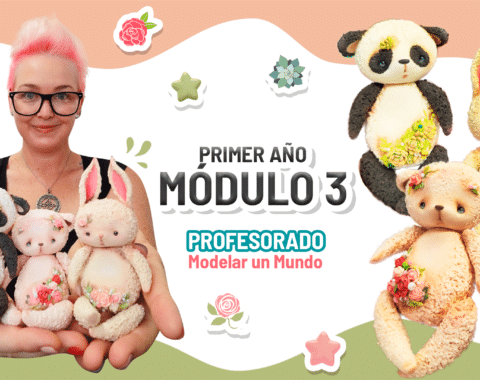 1º AÑO-3º MODULO