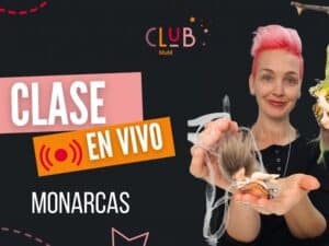 Portada clase en vivo monarcas.jpeg